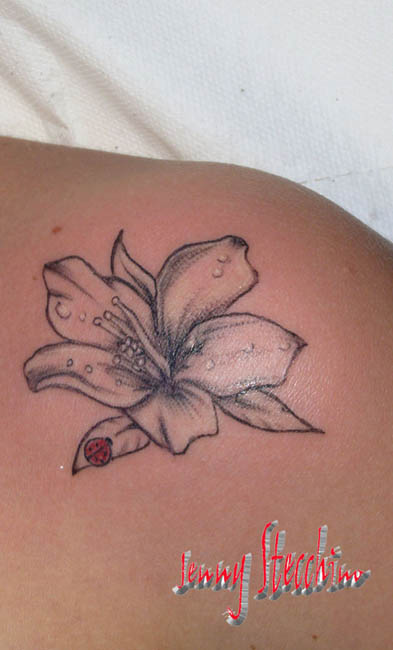 Jenny Stecchino_fiore_Giglio_con_coccinella