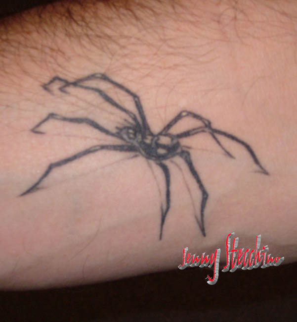 Jenny_Stecchino_Ragno_con_ombra