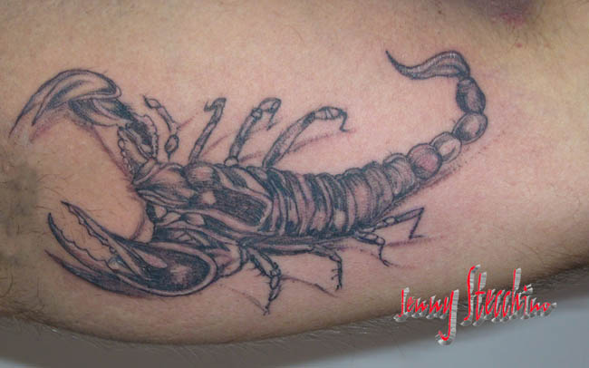 Jenny_Stecchino_Scorpione1