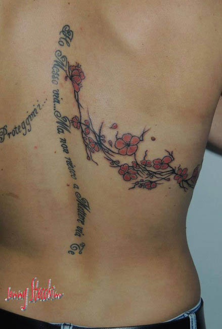 Jenny_Stecchino_fiori_di_ciliegio_schiena1
