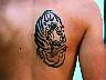 tigre