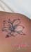 Jenny Stecchino_fiore_Giglio_con_coccinella