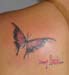 Jenny_Stecchino_Farfalla1