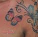 Jenny_Stecchino_Farfalle