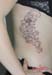 Jenny_Stecchino_Floreale2