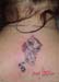 Jenny_Stecchino_Gatto