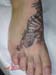 Jenny_Stecchino_Iguana