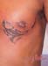 Jenny_Stecchino_Maori_geko
