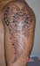 Jenny_Stecchino_Maori_spalla_con_sole