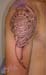 Jenny_Stecchino_Maori_spalla_sfumato