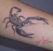 Jenny_Stecchino_Scorpione