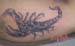 Jenny_Stecchino_Scorpione1