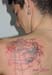 Jenny_Stecchino_Scorpione_Ragnatela
