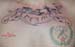 Jenny_Stecchino_Scritta_petto