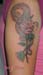 Jenny_Stecchino_Serpente_Rosa