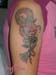 Jenny_Stecchino_Serpente_con_rosa