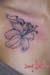 Jenny_Stecchino_fiore_Giglio