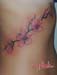 Jenny_Stecchino_fiori_Giapponesi