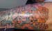 Jenny_Stecchino_fiori_Giapponesi_avambraccio_2