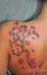 Jenny_Stecchino_fiori_Giapponesi_ramo