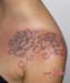 Jenny_Stecchino_fiori_rose_con_dedica