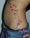 Jenny_Stecchino_soffione_fianco_con_rondini